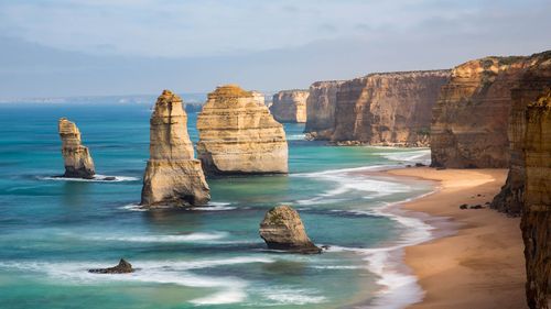Inspiration Dodging Kangaroos sur Great Ocean Road d'Australie
