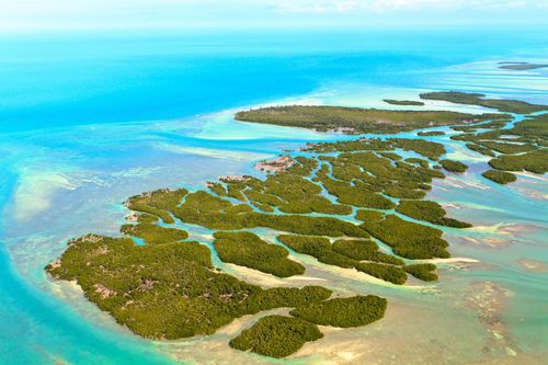 参照＆ドーディブ：フロリダキーでの7つの忘れられない体験