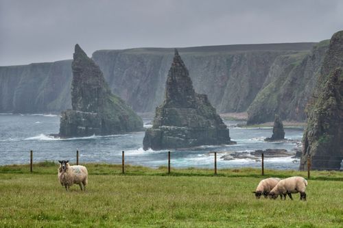 英国のインスピレーションブリリアンバイクルート