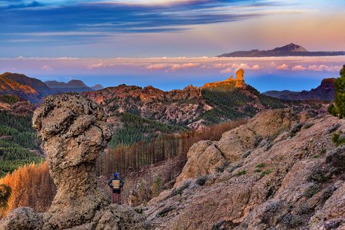 Voir et faire l'exploration du cœur accidenté de Gran Canaria à pied