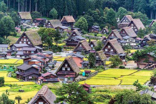 日本でやるべきことのインスピレーションベスト