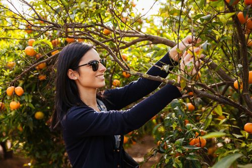 InspirationValencia：芸術、科学、先駆的な気候慣行