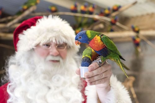 インスピレーションウェストミッドランズでの13の最高のクリスマスイベント