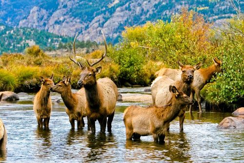 インスピレーション13コロラド州がアメリカで最も美しい州である理由