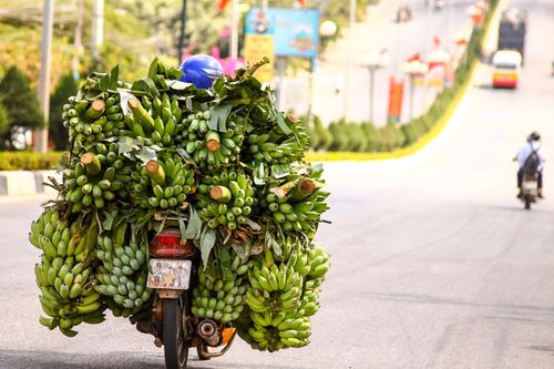 Travel Tipsvietnam by Motorbike：私たちの一番のヒントとトリック