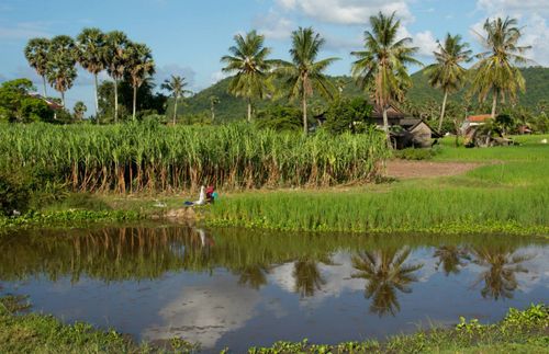 Inspiration7 Raisons de visiter Battambang, Cambodge