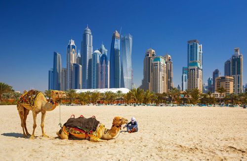 Voir et faire des choses que chaque famille doit faire à Dubaï