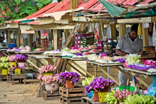 インスピレーションスリランカの有名な映画の場所のトレイル