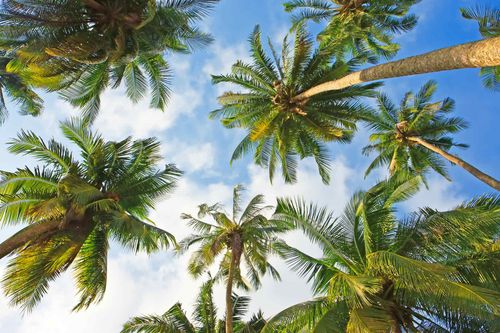 Voyage TipsPoll: Holdat Holidays ou voyage indépendant?