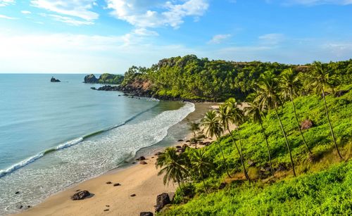 8月の旅行アドバイスゴア：天気と旅行のヒント