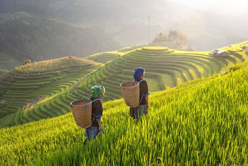 2025年の持続可能な旅行のインスピレーションの重要性