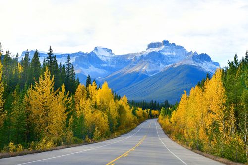 See＆Doroad Trip Canada：5つの最高のルート