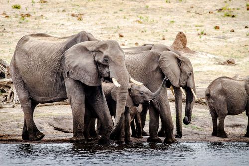 Inspiration Explorer les points forts les plus accessibles du Zimbabwe