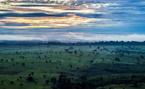 ブラジルのアマゾンでやるべき忘れられないことを見る＆do10