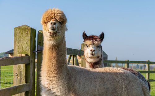 ヘレフォードシャーでやるべきことを参照してください