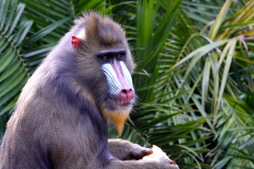 Inspiration20 superbes rencontres étroites avec des animaux