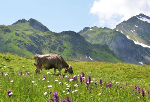 スイスで子供と一緒にやるべきことをする場所