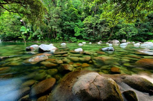Inspiration Explorer les forêts tropicales de l'Australie
