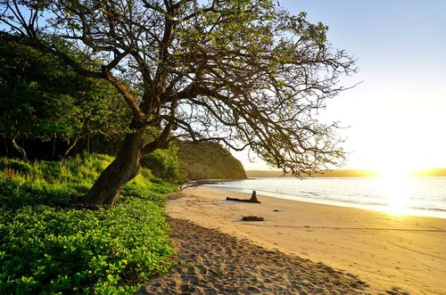 Location des conseils de voyage au Costa Rica: votre guide expert