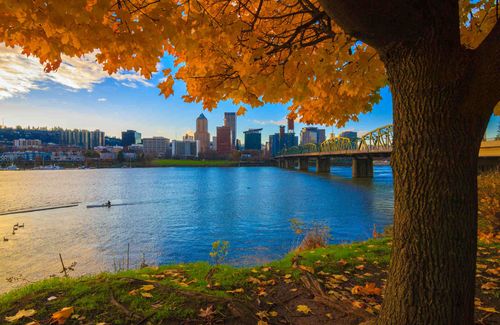 Inspirationkeeping Portland Weird: Pourquoi c'est l'une des destinations les plus originales d'Amérique