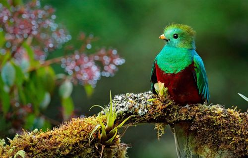 Inspiration Comment plusieurs jours avez-vous besoin au Costa Rica?