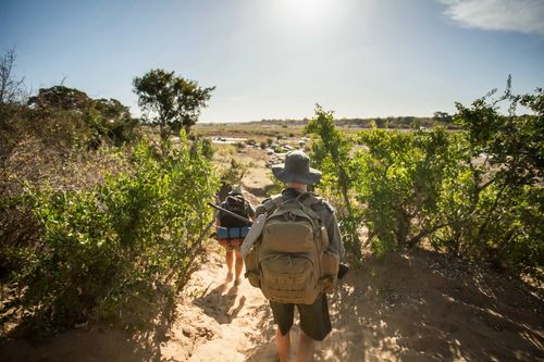 Conseils de voyage Dans le cadre du meilleur moment pour visiter le parc national de Kruger?