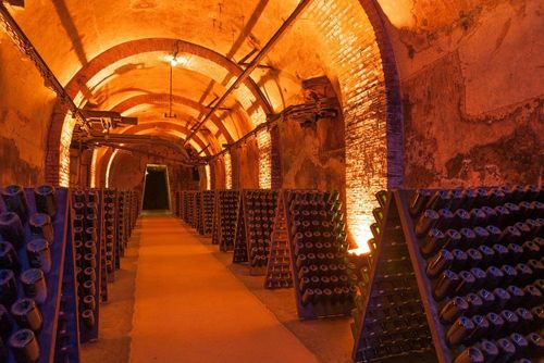 Voir et détruire le dochampagne à Reims