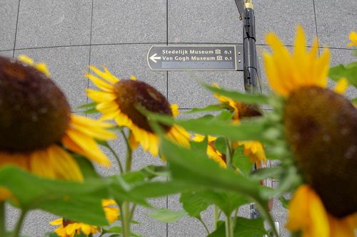 Les voyages consacrent la météo à Amsterdam en août