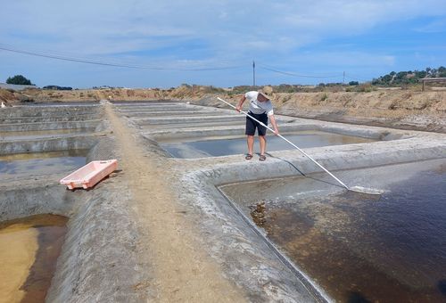 食品＆ドリンクポルトガルのアルガルヴェの反対側
