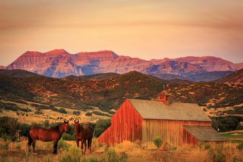 インスピレーションビヨンド「Mighty 5」：ユタ州北部での冒険を見つける