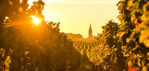 Food＆Drink10 Best Bordeaux Vineyards