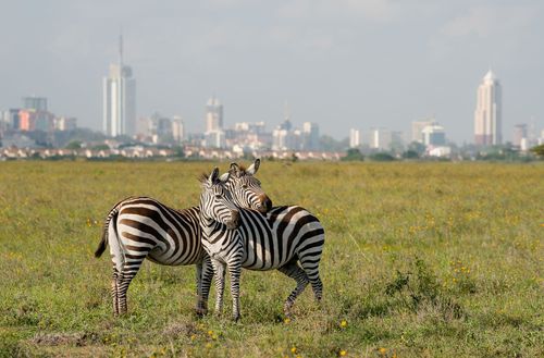 Inspiration Best Choses à faire au Kenya