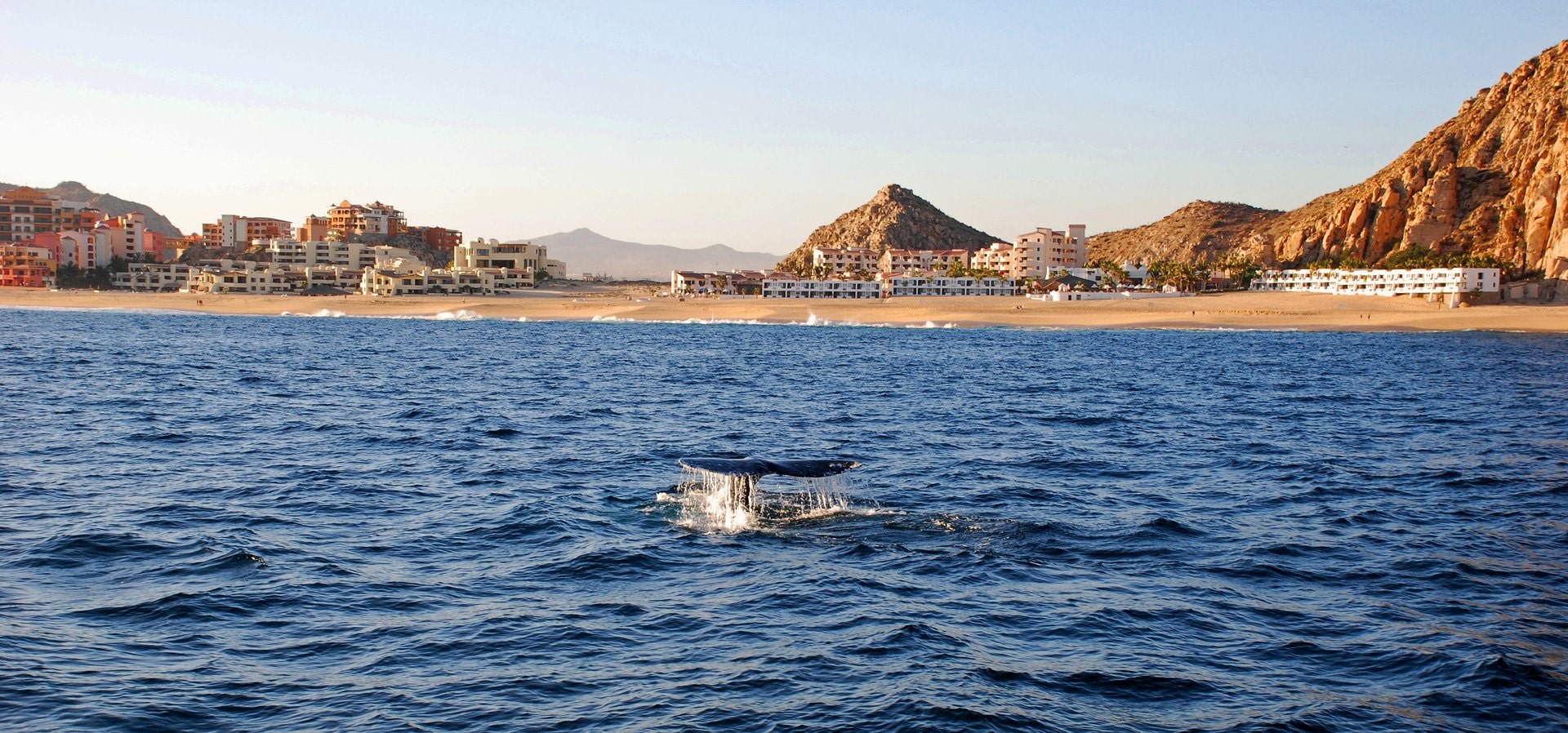 メキシコのクジラウォッチングに行く場所