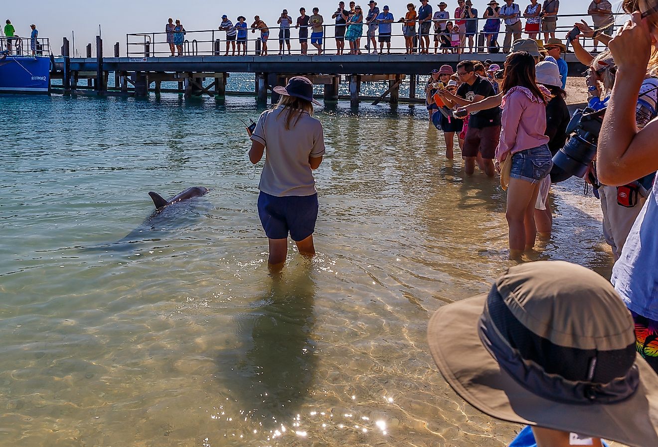 あなたが存在していたことを知らなかった8つの最も風変わりな西オーストラリアの町