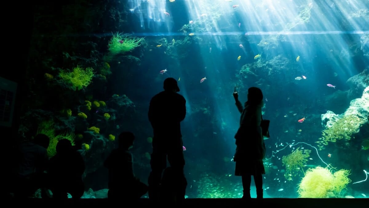 福島の雨の日に冒険、遊び、リラクゼーションをお楽しみください！ 7つの推奨観光スポット