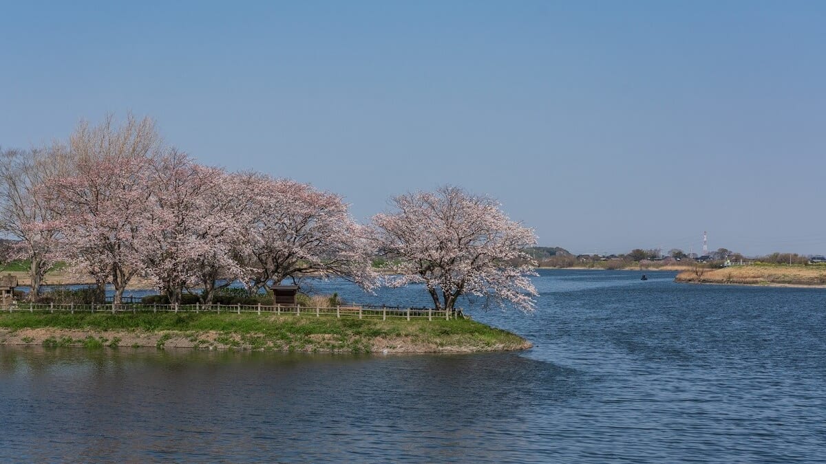 トーレードの10の推奨観光スポット、イバラキへの玄関口