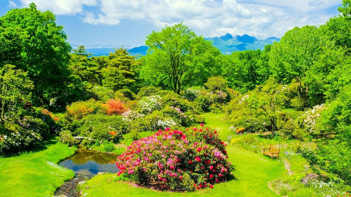 温泉だけではありません！ 7ガンマ県渋谷市の推奨観光スポット