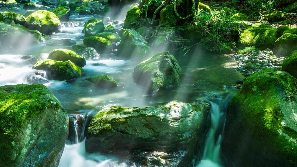 6島県の清野町にある推奨観光スポット！自然の中でリラックスしてください