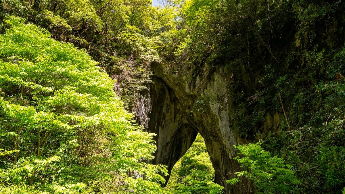 岡山県ニミ市の11人の観光スポット！カルスト高原の上に広がった自然の美しさを体験してください