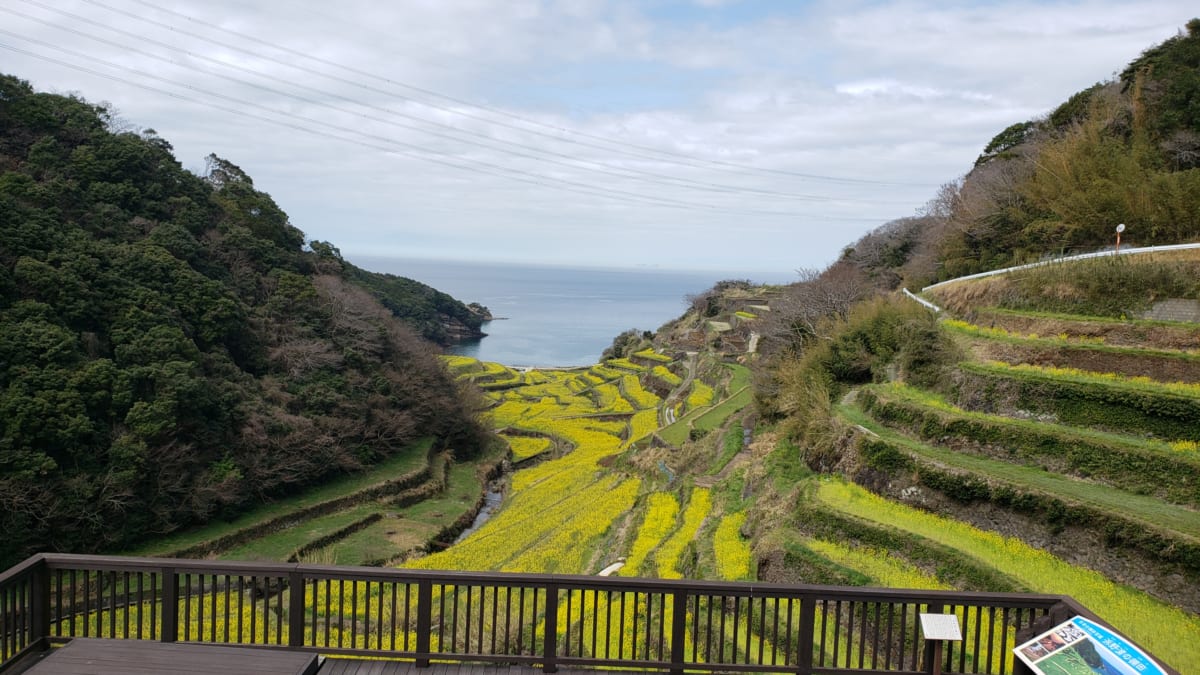 豊富な自然を備えたサガの21人の人気のある景色