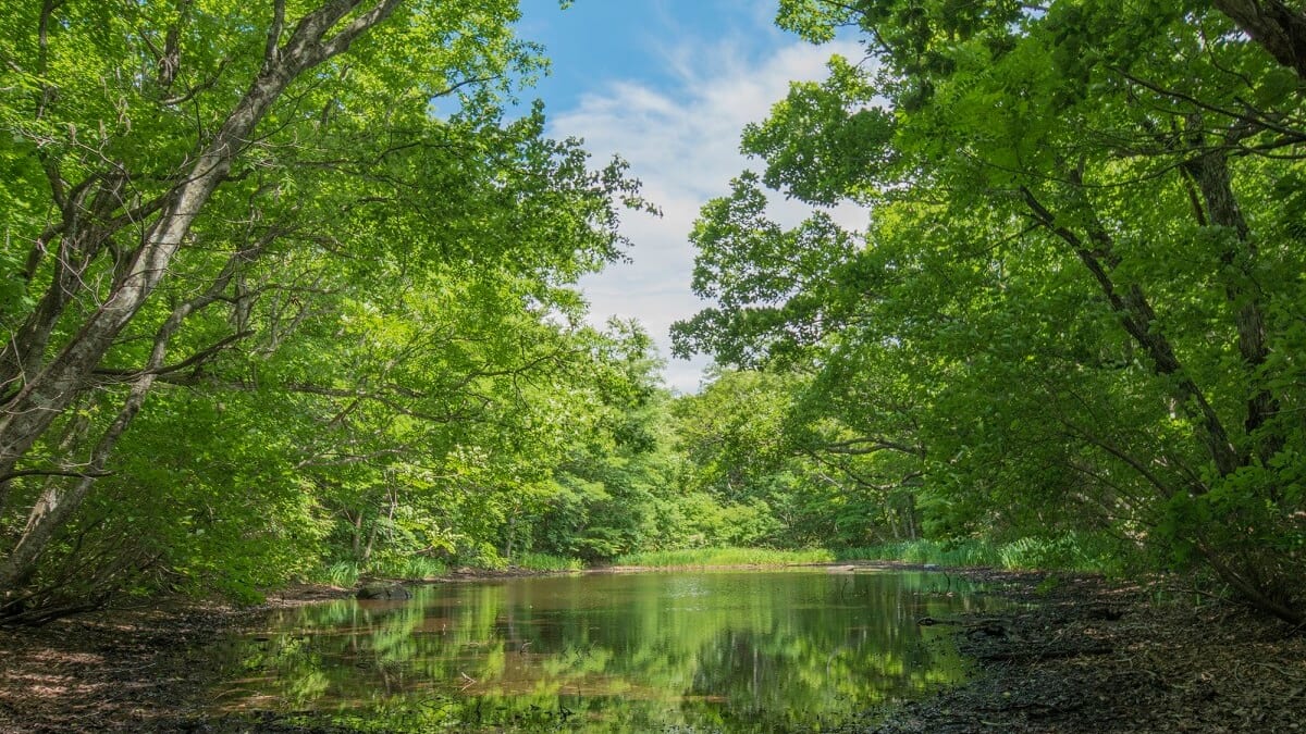 6福島の川村村にある必見の観光スポット！ Ten Zan BunkoやHot Springsなどの人気のあるアトラクション