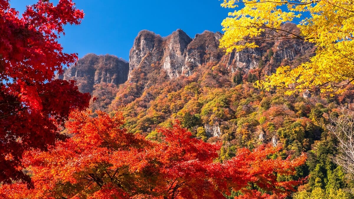 トミオカの12人の観光名所：世界の遺産とレトロな通りをお楽しみください