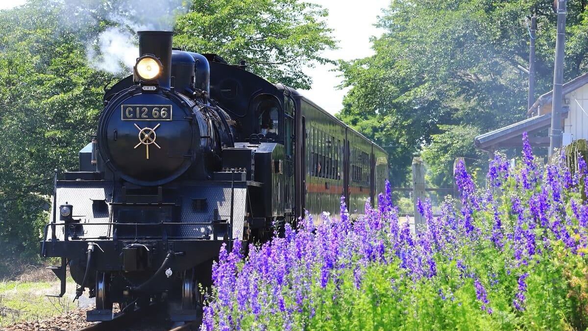 トゥチギの隠された観光客の宝石：9ムーカ市の将来の県での推奨アトラクション
