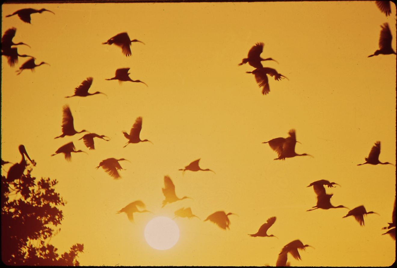 群衆のない夏のためにフロリダで最高の小さな町