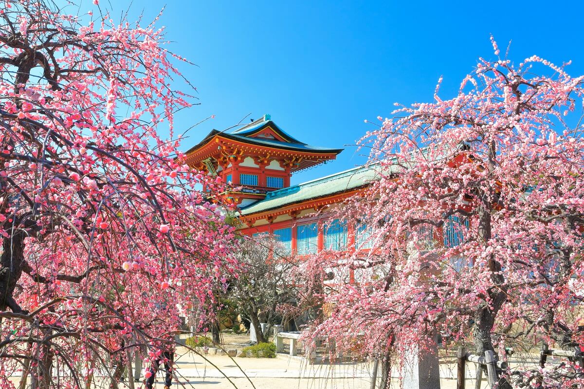 江戸時代の終わり、明治時代、ヤヨイ時代…山口県の歴史愛好家に推奨される16スポット