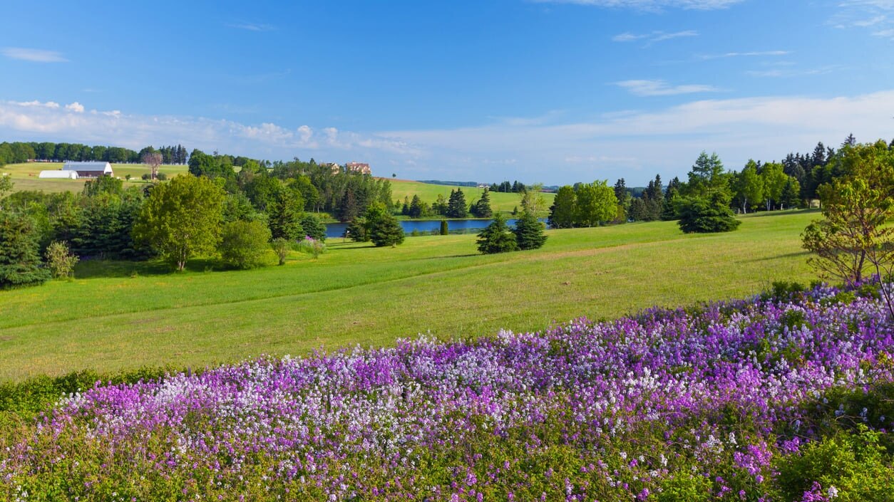[カナダ]プリンスエドワード島の魅力
