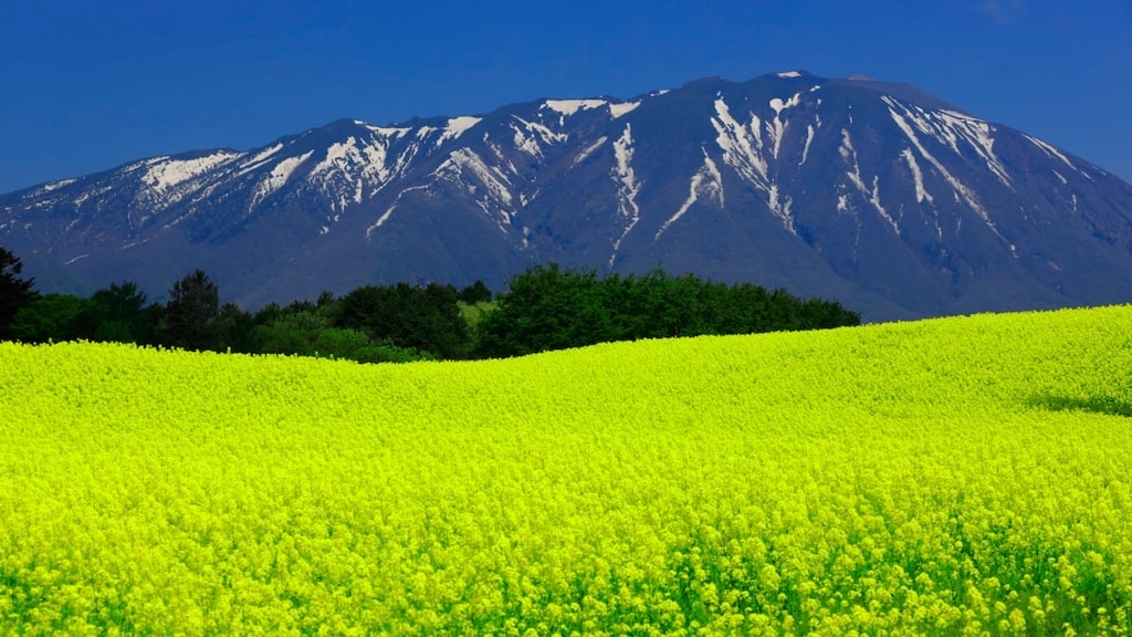 イース山周辺を訪れるのに最適な10の場所