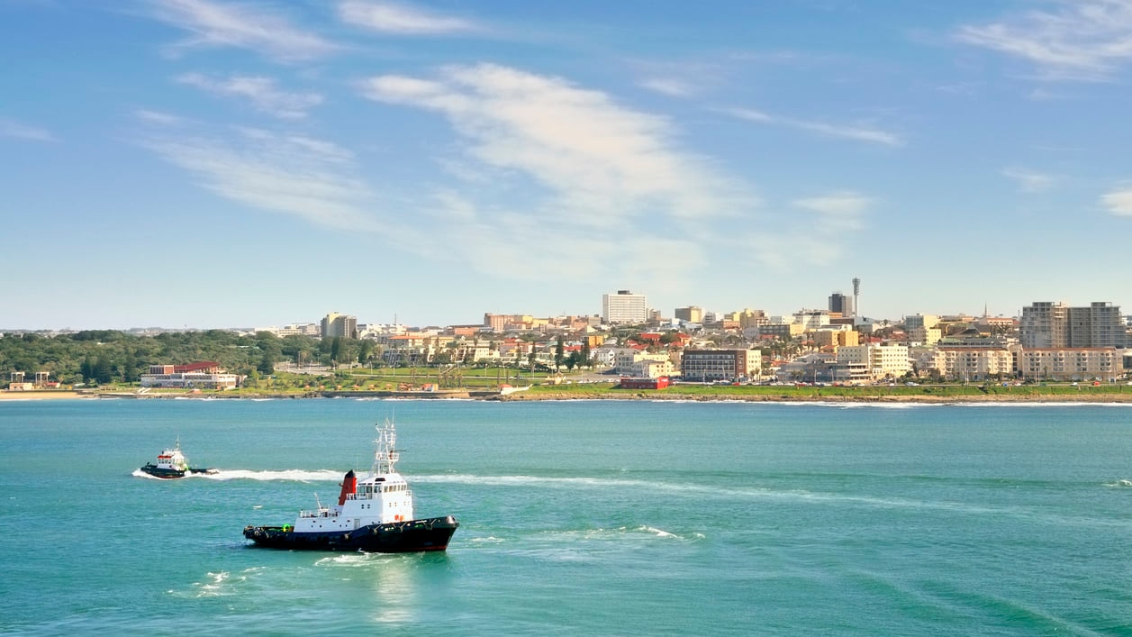 イーストロンドン：砂浜のビーチと絵の完璧な背景を備えた海辺のそばの東ケープの誇り