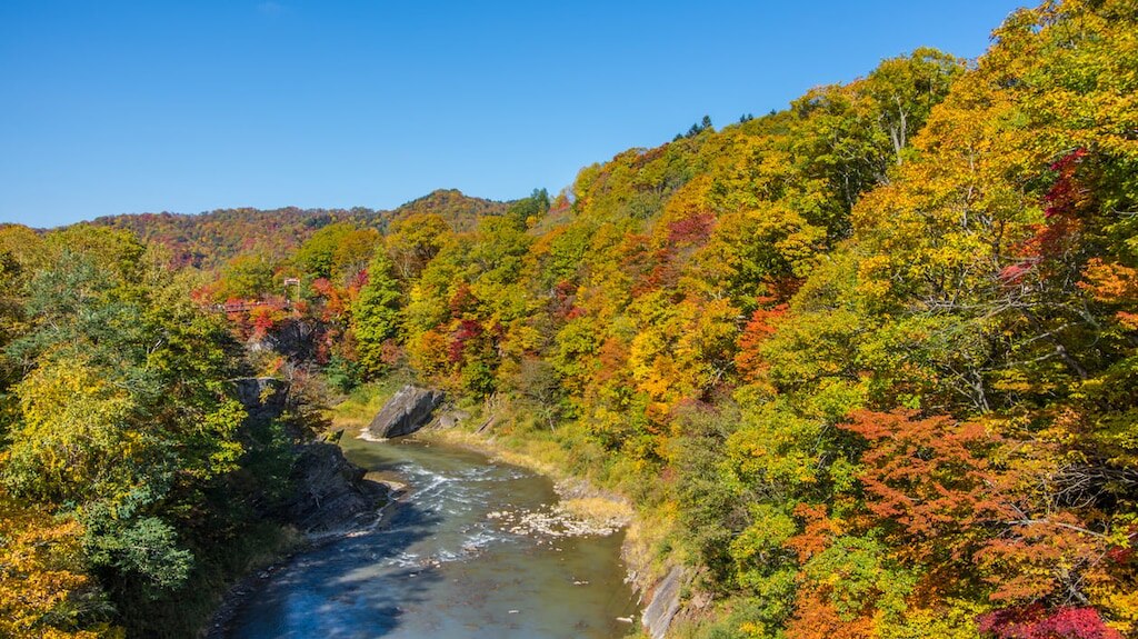 知らないのは無駄です！ Yubariの20の推奨観光スポット