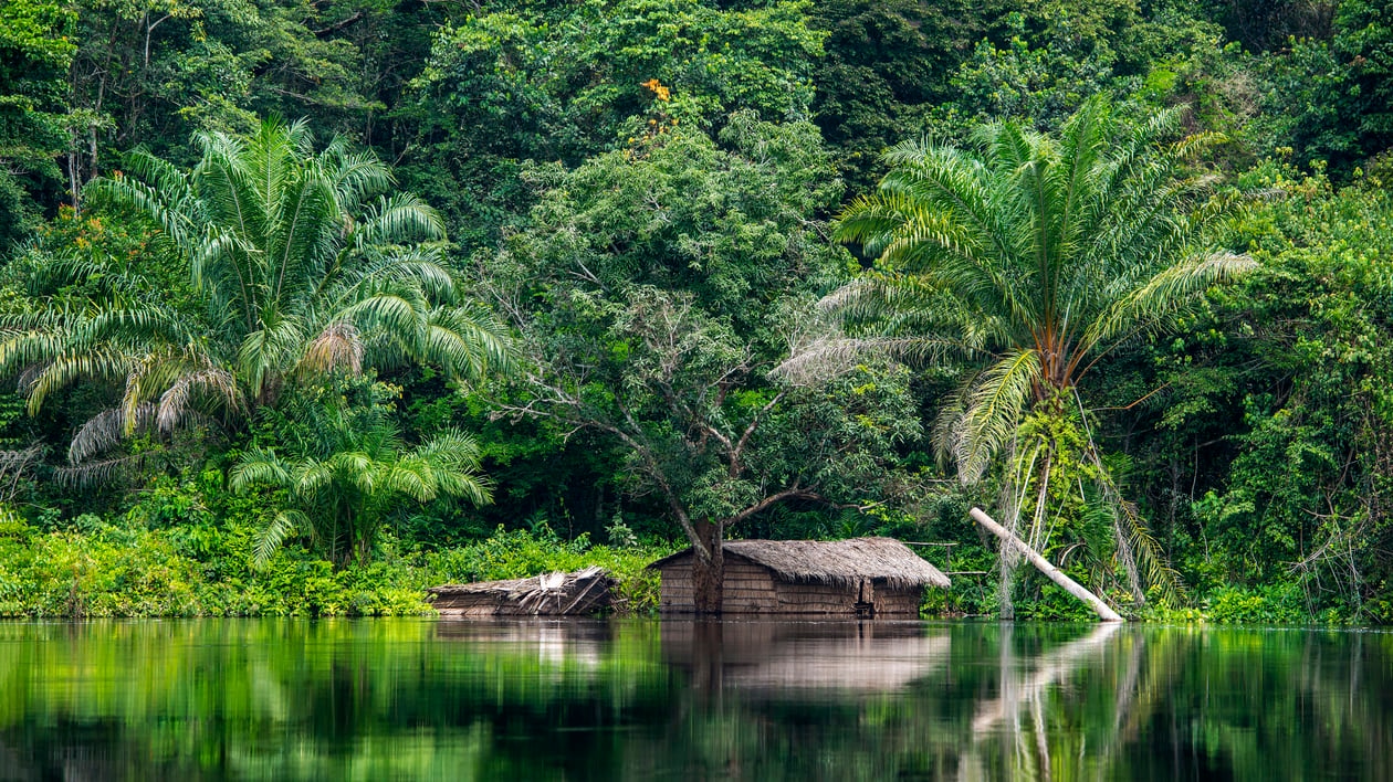 コンゴ民主共和国：広大な熱帯雨林に覆われ、川の噴出によって並んでいる国